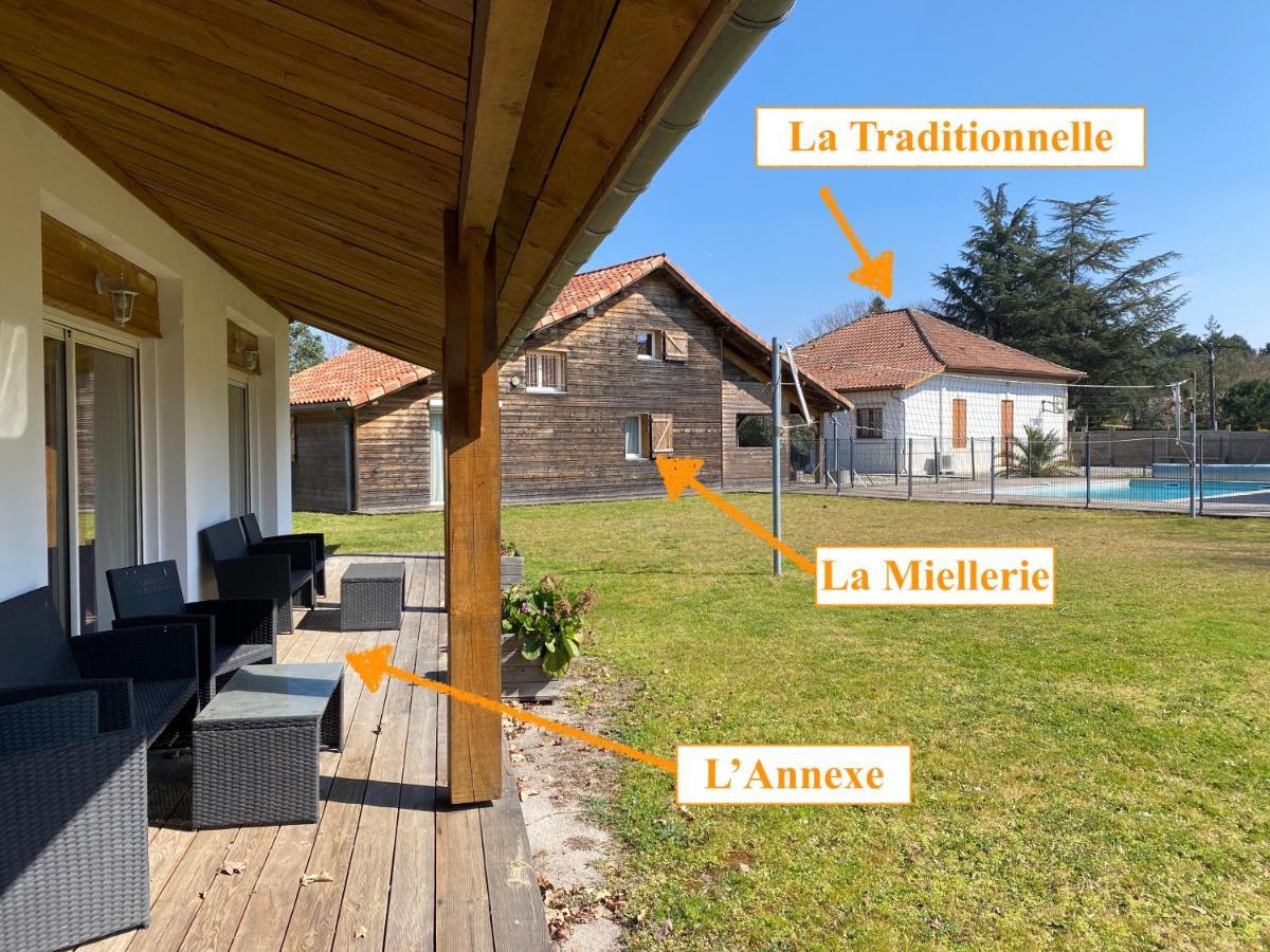 Ensemble De 3 Villas Avec Piscine Chauffee, Esprit Detente Sanguinet Exterior photo